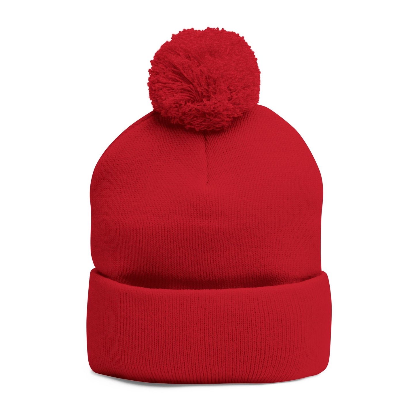 Polar Teddy Pom-Pom Knit Cap — Embroidered Winter Beanie