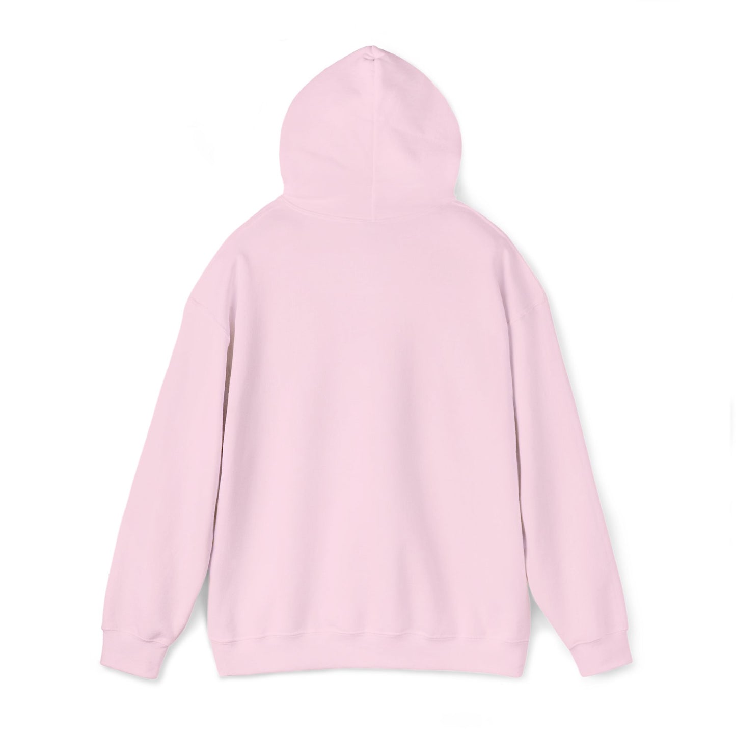 Pinky Bear Embroidered Hoodie